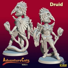 druid cat toys & games cute fantasy nature tabletop dnd tabaxi 3d print model - Mito3D