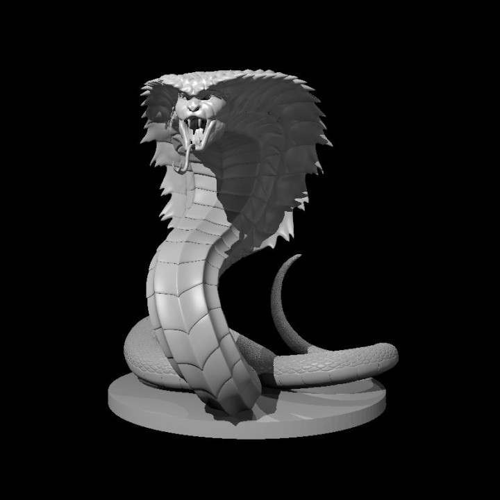 ruh Naga yılan snek 3D print model - Mito3D