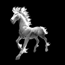 nightmare updated toys & games horse 3d print model - Mito3D
