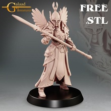 free guard toys & games dragon female girl human mini roleplay rpg woman miniature tabletop dungeon 28mm 32mm 75mm 3d print model - Mito3D
