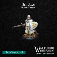 sir jean - human knight toys & games dragon fighter model character miniature paladin 28mm dnd dungeons dragons 32mm brettonia 3d print model - Mito3D