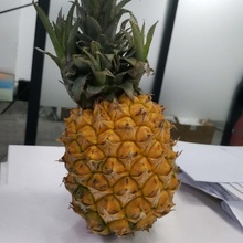 pineapple generated revopoint pop & garden fruit 3d print model - Mito3D
