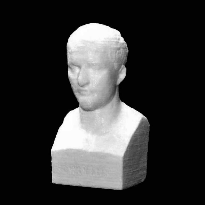 bust napoleon bonaparte fine arts museum ghent belgium scan 3D print model - Mito3D