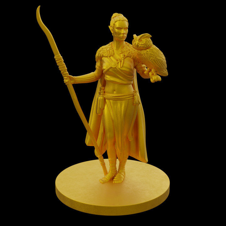 elf Druid oyuncaklar oyunlar kadın baykuş sihirbaz Personel büyücü drow 3D print model - Mito3D