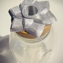 fly trap & garden fruit jar pest 3d print model - Mito3D