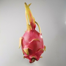 pitaya generato revopoint pop giardino frutta 3d print model - Mito3D