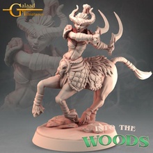 centaur 03 toys & games dragon mini roleplay miniature tabletop dungeon galaad 3d print model - Mito3D