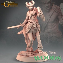 centaur 06 toys & games dragon mini roleplay miniature tabletop dungeon galaad 3d print model - Mito3D