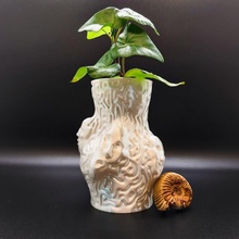 facce giardino arte decorazione viso ufficio scultura unico vaso zbrush scolpire giardinaggio arredamento fiore artistico vita camera 3d print model - Mito3D
