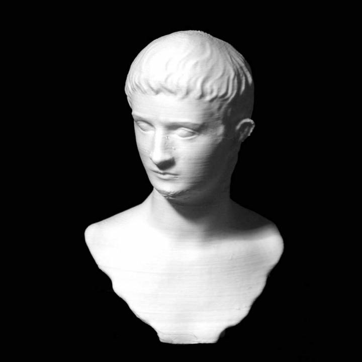 emperador gayo museo metropolitano arte york scan 3D print model - Mito3D