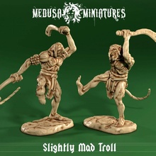 mad troll whip sword print dragons dungeons figure game rpg character resin tabletop d&d dnd pathfinder 5e posed 1e frostgrace 3d print model - Mito3D