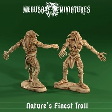 nature's finest troll print creature dragons dungeons figure character tabletop ogre d&d dnd pathfinder frostgrave 5e 3d print model - Mito3D