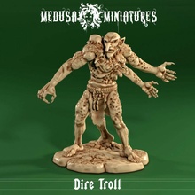 dire troll dragons dungeons figure goblin orc rpg character ogre 28mm pathfinder 3d print model - Mito3D