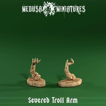 reciso troll armata Stampa draghi dungeon figura rpg carattere orco d dnd Inserisci 5e 1e 3d print model - Mito3D