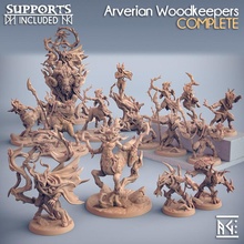 complete arverian woodkeepers presupported store dragons dungeons fantasy mini modular rpg miniature tabletop supports elven dnd bundle ttrpg artisan guild supported druids cervitaurs 3d print model - Mito3D