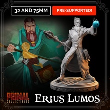 erius lumos dungeons dragons hero quest toys & games epic fantasy rpg wizard miniature enemy boardgame dungeonsanddragons roleplaying tabletop wargame d&d heroquest primal 3d print model - Mito3D