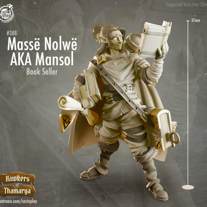 masse nolwe aka mansol pre-supported toys & games elf books elven dnd elvish 5e castnplay thamarya bookseller 3D print model - Mito3D