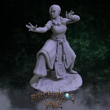 birchwood vale heroes chomdem toys & games dungeons fantasy fighter gaming hero human mini miniatures monk rpg warhammer tabletop wargame d&d dnd pathfinder frostgrave ageofsigmar 5e warcry birchwoodvale 3d print model - Mito3D