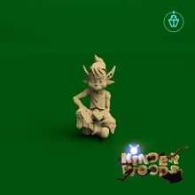 wood elf guard toys & games forest kinder block villager woods sit npc jerk 3d print model - Mito3D