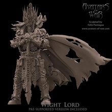 wight lord toys & games dragons dungeons fantasy mini rpg school skeleton undead vampire war warhammer miniature age tabletop arena supports wargame dnd 9th ttrpg kow presupported pre-supported counts supported ninth avatars deathmatch 3d print model - Mito3D