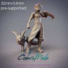 jannah mazigh desert elf tracker fox pre-supported toys & games fighter sexy hunter knife assassin rogue 32mm 54mm supported dual-wield 3d print model - Mito3D