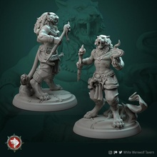tabaxi leonin mage 32mm pre-supported toys & games creature fantasy character boardgame tabletop dnd pathfinder ttrpg dndcharacter 3d print model - Mito3D
