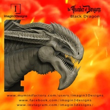 Midix 39 soreth the OS warden noir dragon jardin buste créature détaillé fantaisie fdm peinture multipart Dragon tonnerre dragons 1 10scale 3d print model - Mito3D