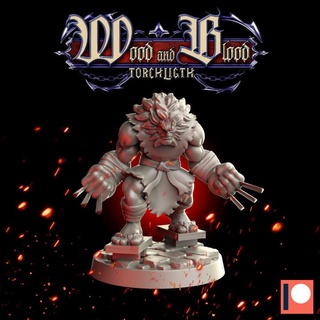 torcia druido Modelli dungeon eroe Wow dungeonandragons 3d print model - Mito3D