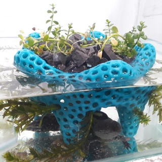 acuario plantador osvaldo Zanet hogar casa jardín menaje jarrones ollas jardineras maceta voronoi bacopa elodea 3d print model - Mito3D