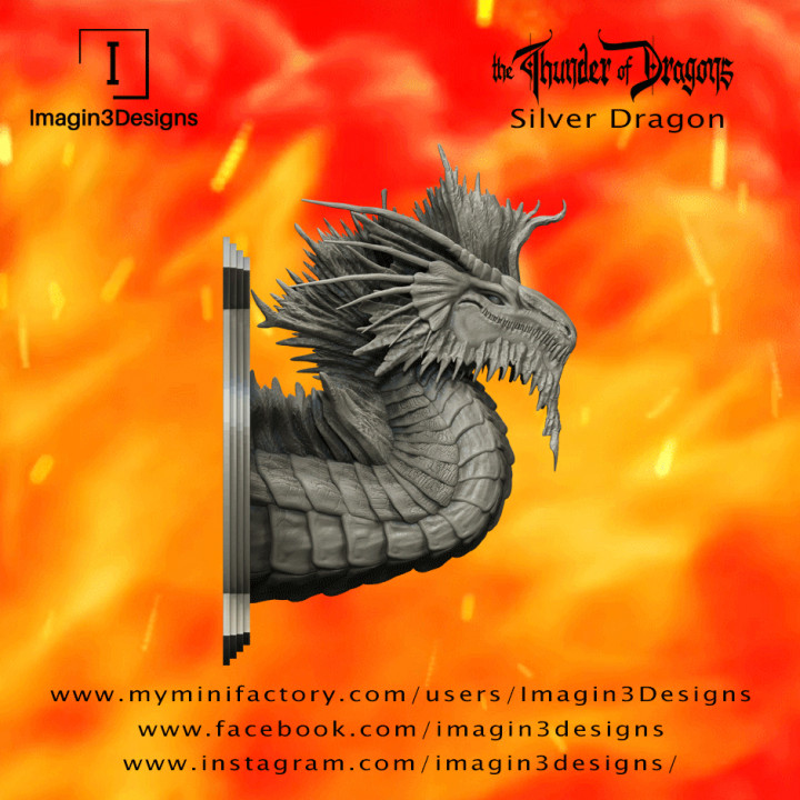 pre supported melik 39 dazia moonshadow argent dragon imagin3designs buste détaillé fantaisie peinture résine Silverdragon tonnerre dragons 3D print model - Mito3D