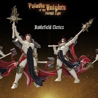 battlefield clerics heroes infinite epic fantasy king mini model queen rpg warrior miniature boardgame base role tabletop wargame dungeon paladin d&d inquisitor knights warriors pathfinder oracle heroines protectors ragingheroes tranchards 3d print model - Mito3D