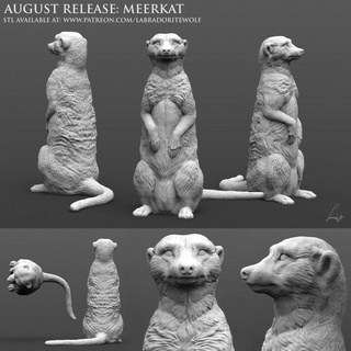 meerkat labradoritewolf giocattoli Giochi animale creatura figure negozio mini compagno miniatura tavolo d dnd dungeon draghi familiare wildshape selvaggio forma suricare 3d print model - Mito3D