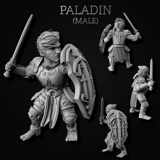 gnome paladins male + female miniforge Toys & Games Tabletop Characters Creatures Fantasy Universe Board Store character pc dnd gnomes 3d print model - Mito3D