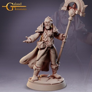 magical order release - mage 04 galaad miniatures Toys & Games Tabletop Characters Creatures Fantasy Universe Board Store dragon roleplay wizard magic tabletop dungeon patreon 3d print model - Mito3D