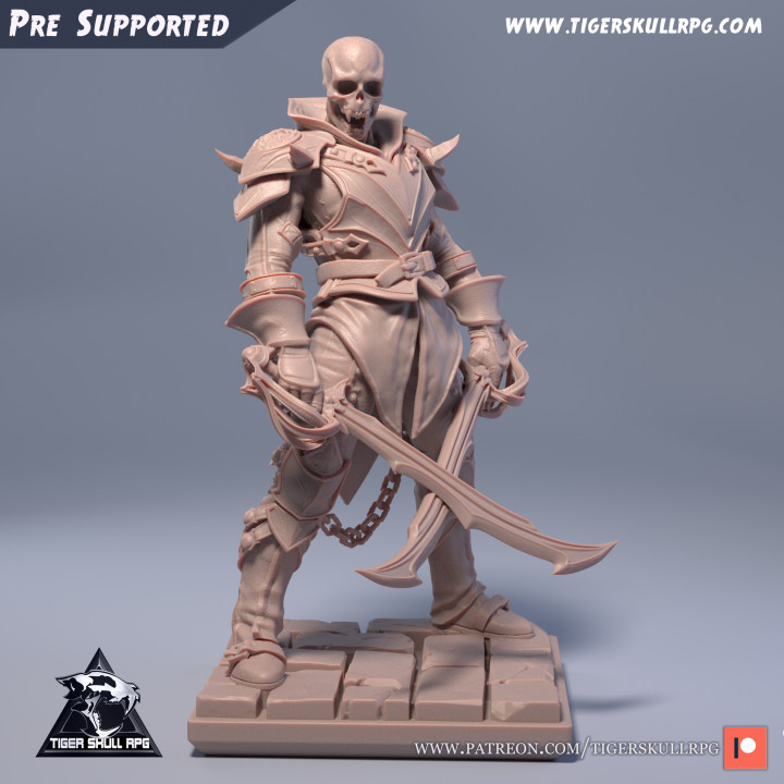 legiones noche alex kolakowski juguetes juegos mesa caracteres criaturas fantasía universo tablero Tienda pirata esqueleto espada muertos vivientes vampiro dracula pelea confusa draco Señor vampiros 3D print model - Mito3D