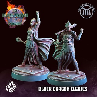 black dragon clerics crippled god foundry Toys & Games Tabletop Characters Creatures Fantasy Universe Board Store fantasy female rpg priest evil bane mace patreon dnd cleric mercenaries cgf 3d print model - Mito3D