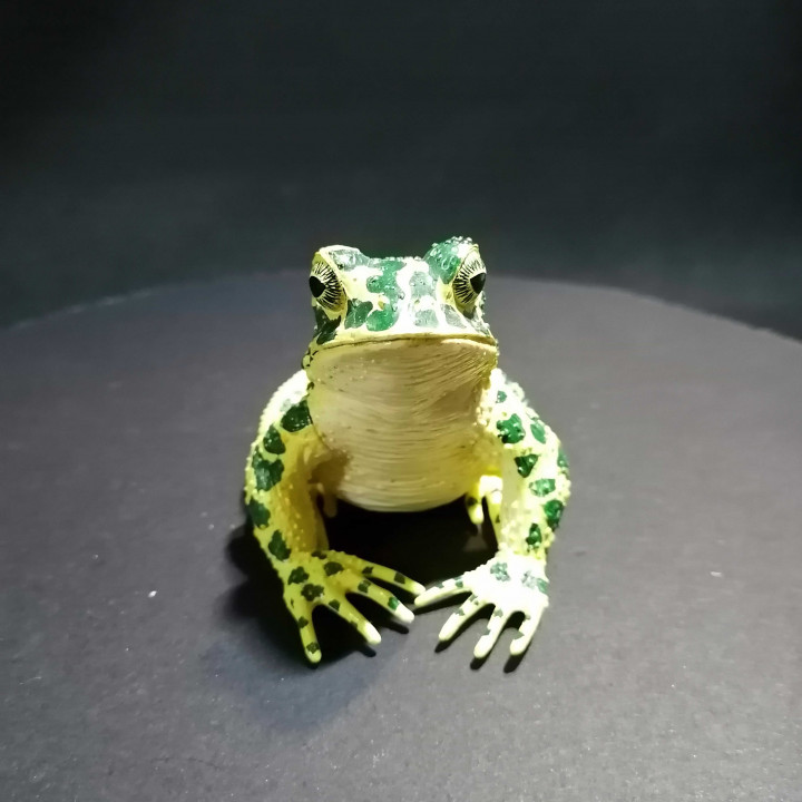 crapaud généré revopoint pop revopoint3d éducation art Accueil maison jardin articles ménagers ornements grenouille 3D print model - Mito3D