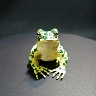 toad generated revopoint pop revopoint3d Education Art Home & Garden Homeware Ornaments frog 3d print model - Mito3D