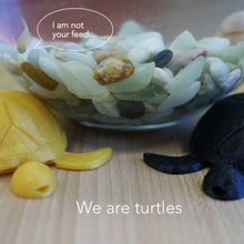 turtle bewegliche Beine Garten Tier Schildkröte 3d print model - Mito3D