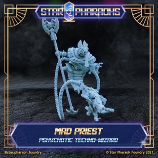 mad priest - star pharaohs pharaoh foundry Toys & Games Tabletop Characters Creatures Sci-Fi Universe Board 40k wargaming scifi 28mm necrons psychomancer 3d print model - Mito3D
