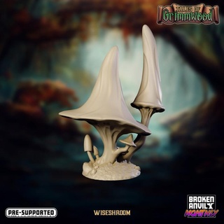 tales grimmwood- wiseshroom broken anvil miniatures Toys & Games Tabletop Characters Creatures Fantasy Universe Board Store rpg terrain dnd scatter 3d print model - Mito3D
