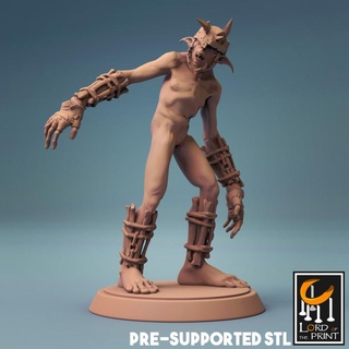 gobelin lord print Toys & Games Tabletop Characters Creatures Fantasy Universe Board Store 3d print model - Mito3D