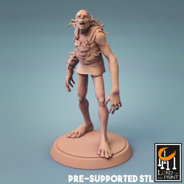 gobelin lord print Toys & Games Tabletop Characters Creatures Fantasy Universe Board Store 3D print model - Mito3D