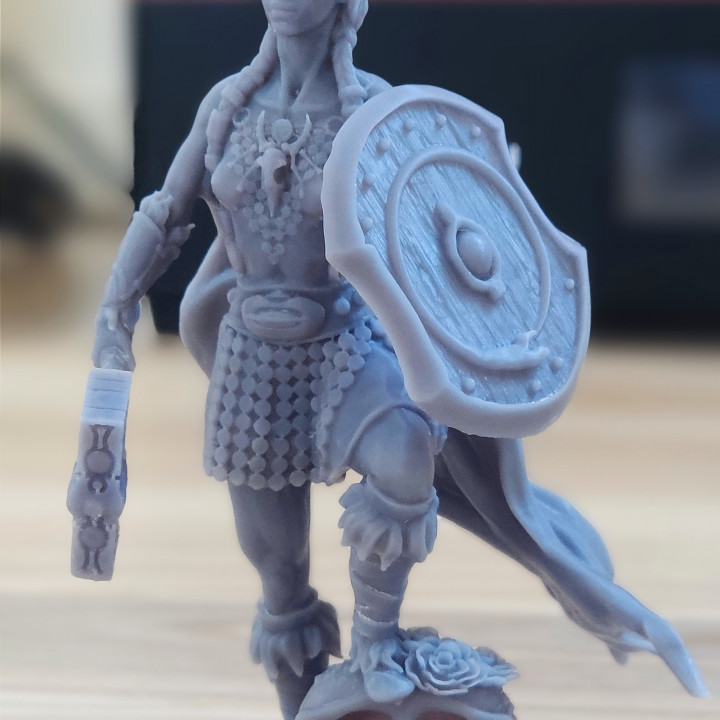 caçador caveiras Roland med brinquedos jogos tampo mesa personagens criaturas fantasia universo borda 3d stl miniaturas modelo rpg Guerreiro sla resina minis remixar msla hq altamente detalhado 3D print model - Mito3D