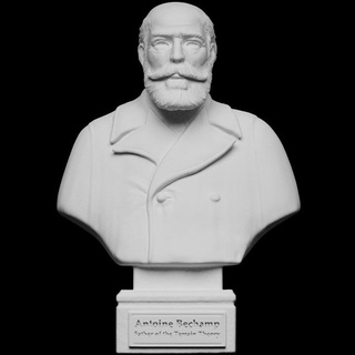 antoine bechamp museum freedom Scan the World Europe France scientist covid covid19 terraintheory 3d print model - Mito3D