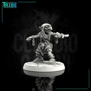 0041 male thief rogue assassin goblin claudio casini art Toys & Games Tabletop Characters Creatures Fantasy Universe Board 3d print model - Mito3D
