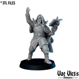 human wizard pre-supported vae victis miniatures  Toys & Games Tabletop Tabletop Characters & Creatures Fantasy Universe Tabletop Tabletop Characters & Creatures Board Games Tabletop fantasy hero human rpg wizard magic mage tabletop warlock dnd sorcerer supported  3d print model - Mito3D