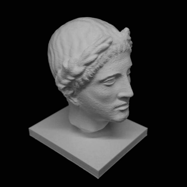 helenística cabeza masculina 2 british museum londres scan 3D print model - Mito3D