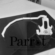 papagaio tremores corrida drone gadgets aparelhos eletrônicos concurso 3d print model - Mito3D