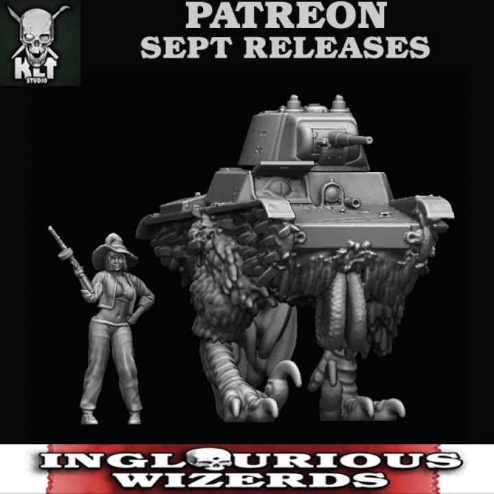 bobbi yogui t26 klt estudio juguetes juegos mesa caracteres criaturas fantasía universo tablero Tienda hembra rpg tanque bruja pollo extraño 3D print model - Mito3D